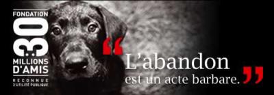 ~~~ L'aBaNdOn ~~~